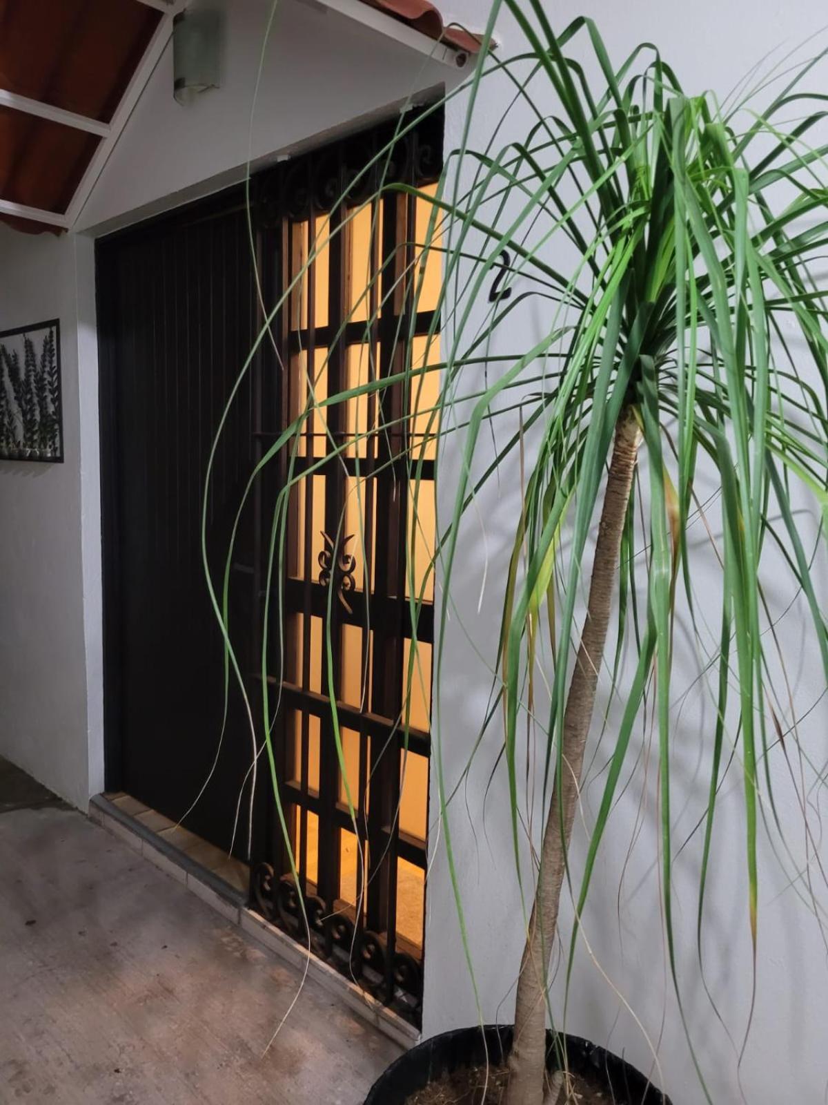 Apartmán Casa B & L Centrico Departamento Oaxaca Exteriér fotografie